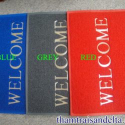tham welcome mau ghi